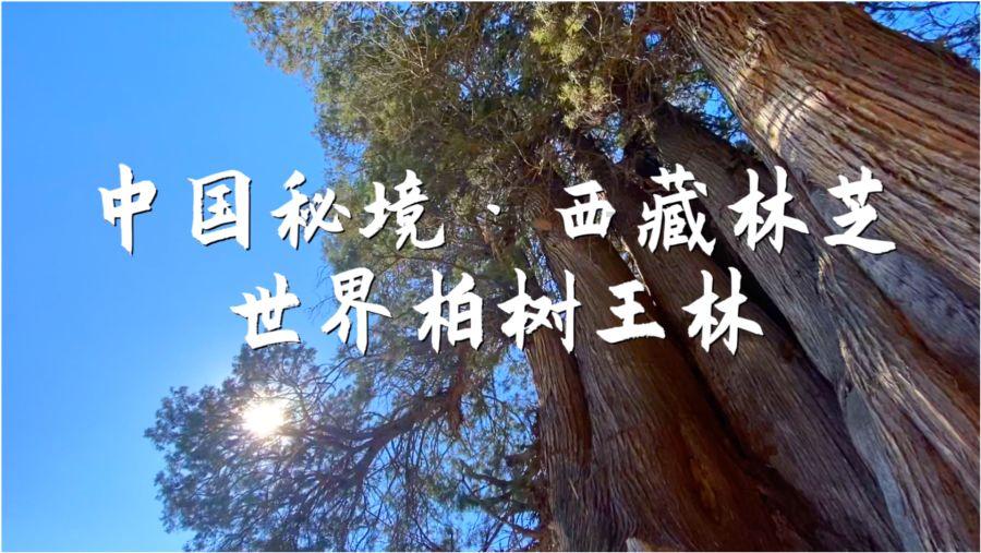 来宾：精准对接擦亮柑橘名片拓宽市场渠道
