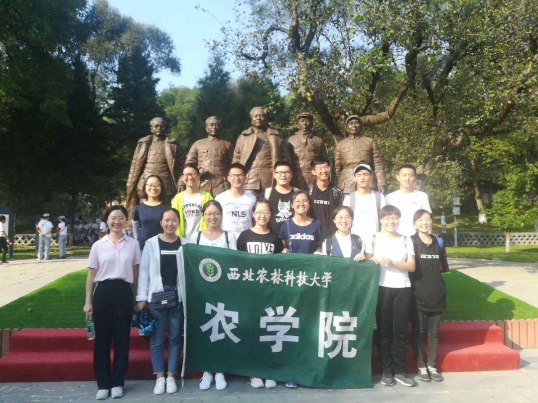 电视剧《棋魂》播出，原著党有什么反映？