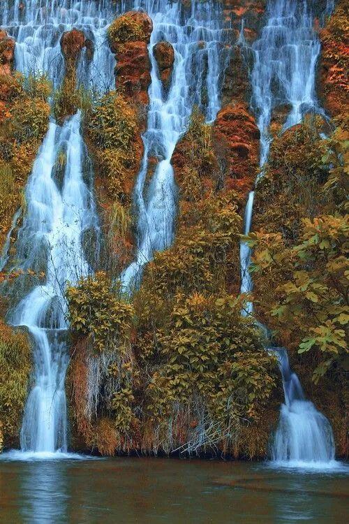 逃离弃城